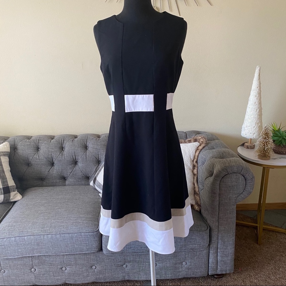 Sleeveless Black A-Line Dress with White Accent Panels